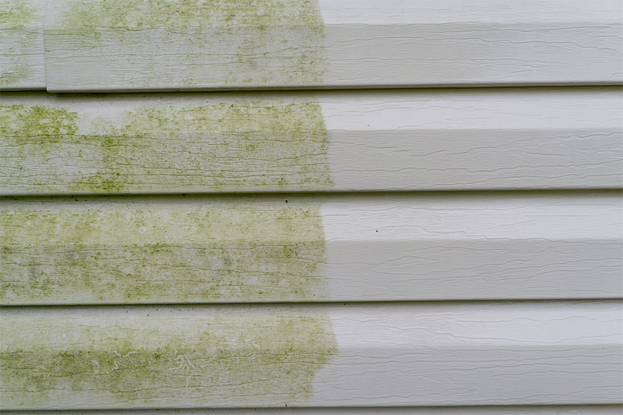 before and after of moldy wall pressure washed